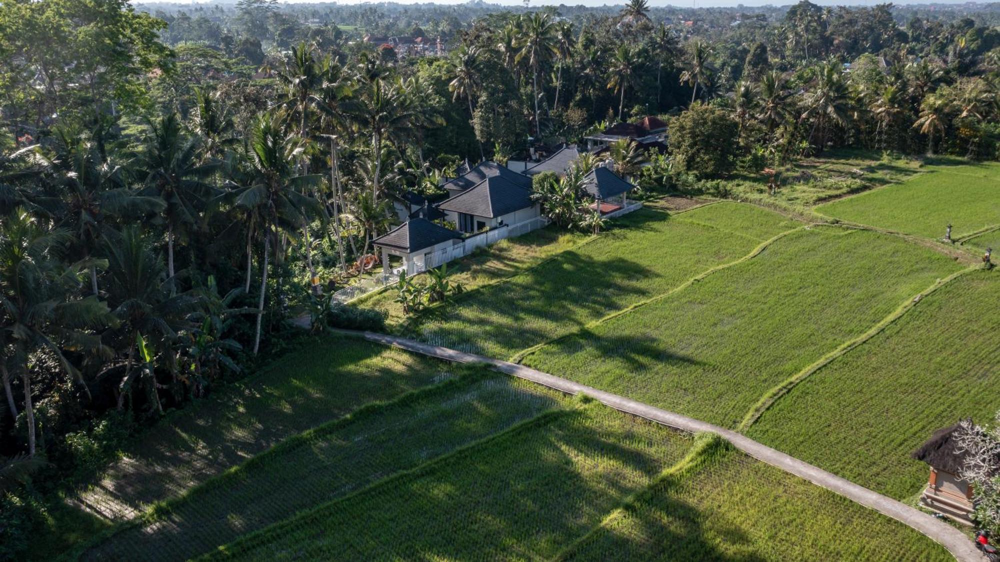 Capung Asri Eco Luxury Resort With Private Pool Villas Bedulu Buitenkant foto