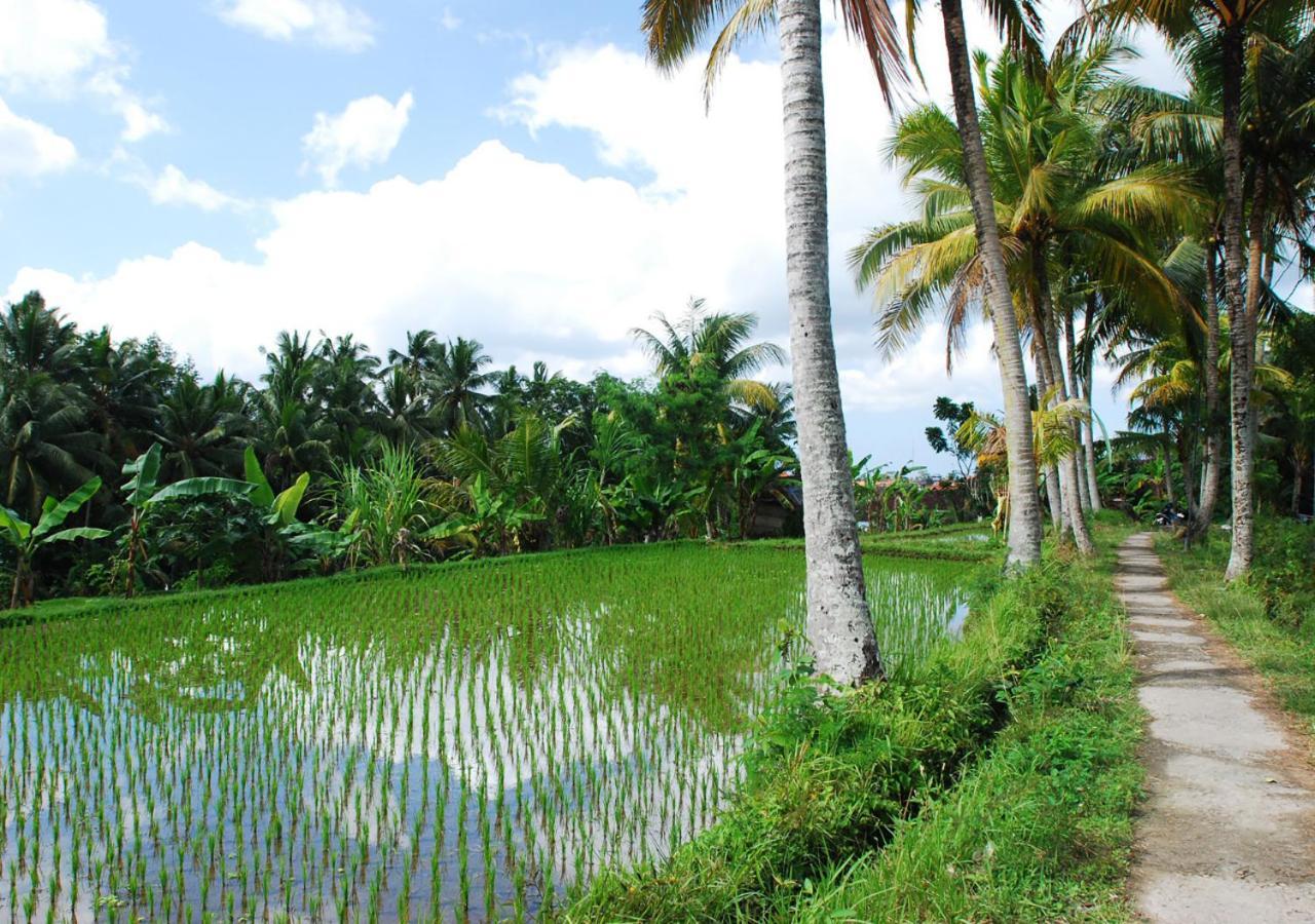 Capung Asri Eco Luxury Resort With Private Pool Villas Bedulu Buitenkant foto