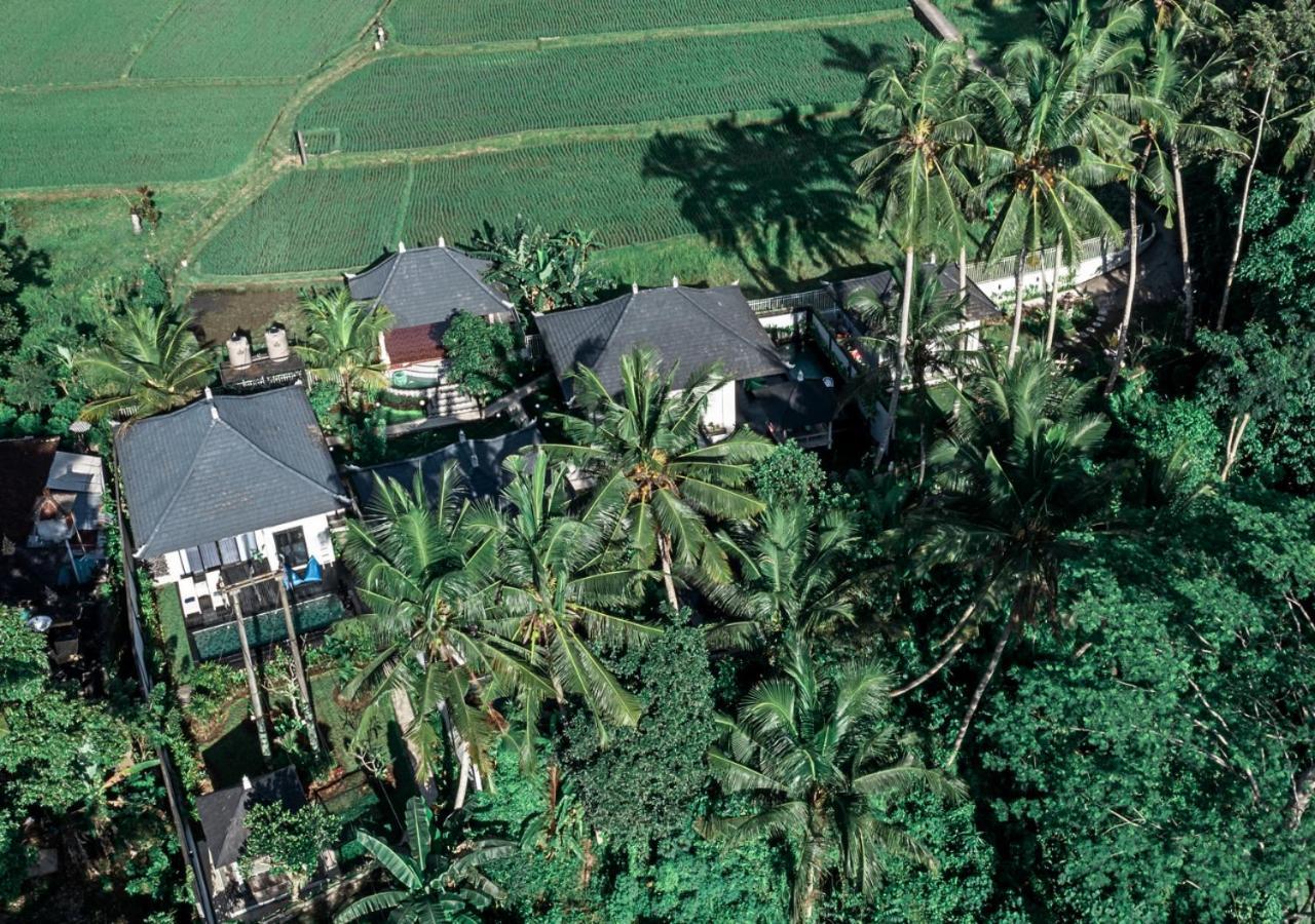 Capung Asri Eco Luxury Resort With Private Pool Villas Bedulu Buitenkant foto